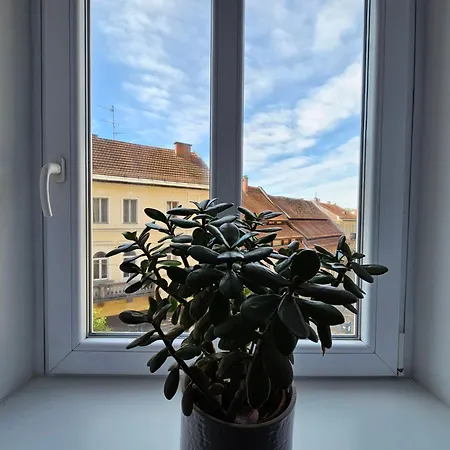 Elegant Teo Touras In Old Town Apartman