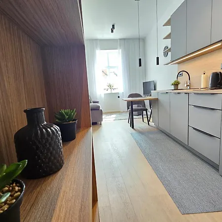 Appartement Elegant Teo Touras In Old Town Ljubljana
