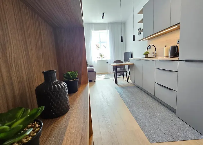 Apartament Elegant Teo Touras In Old Town Lublana