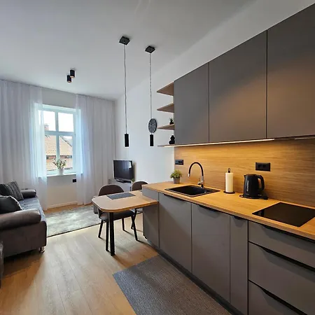 Elegant Teo Touras In Old Town Apartment